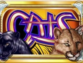 best casino to play slots in las vegas